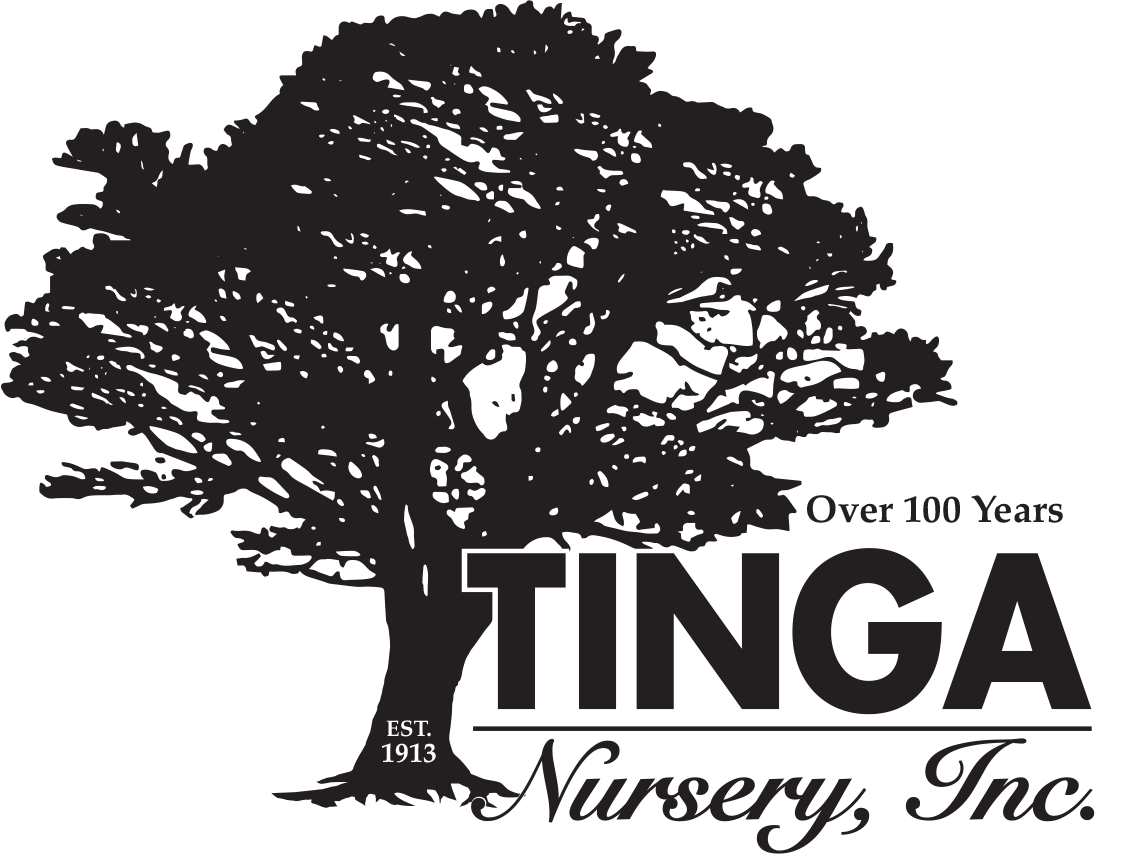 Tinga Nursery - Booth #701