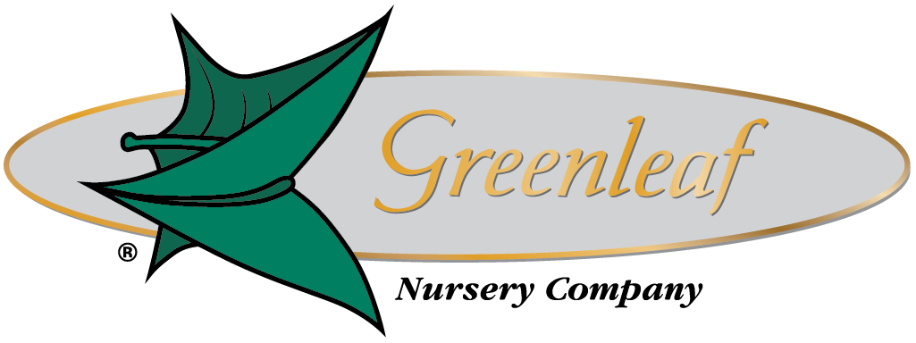 Greenleaf Nursery